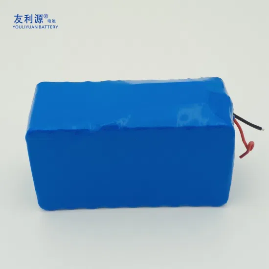 Batterie LiFePO4 26650 11.1V 24V 48V 60V, 21ah 60ah 80ah 100ah, Lithium rechargeable